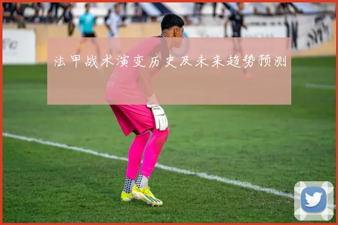 法甲战术演变历史及未来趋势预测